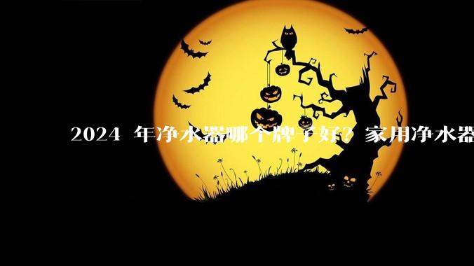 2024 年净水器哪个牌子好？家用净水器的选购攻略是什么？