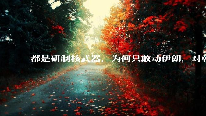 都是研制核武器，为何只敢动伊朗，对朝鲜确畏首畏尾？
