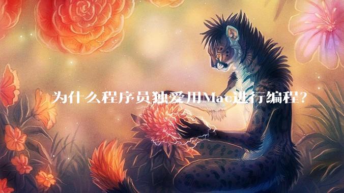 为什么程序员独爱用Mac进行编程？