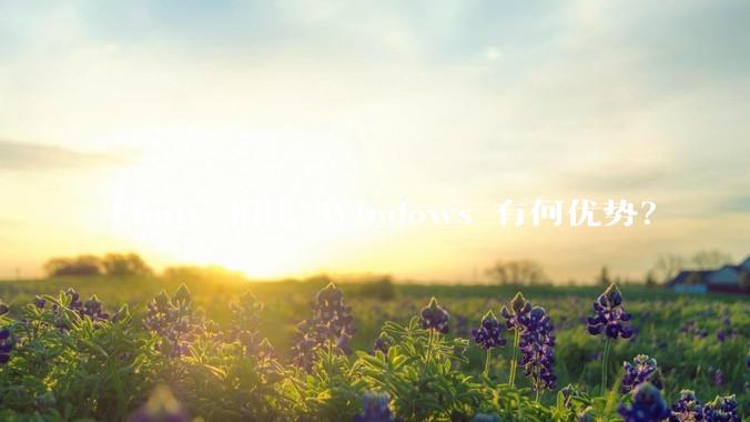 Linux 相比 Windows 有何优势？