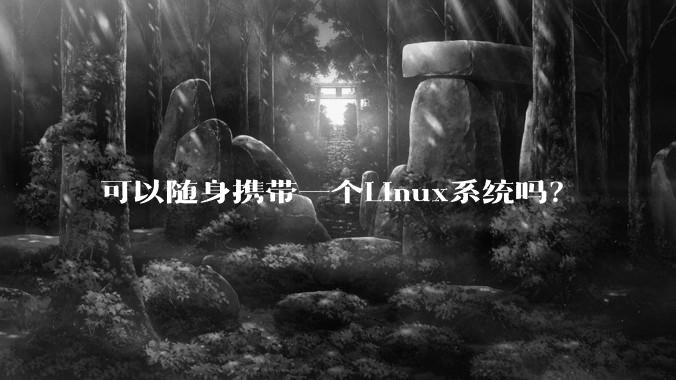 可以随身携带一个Linux系统吗？