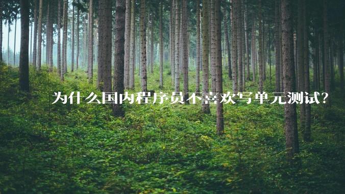 为什么国内程序员不喜欢写单元测试？
