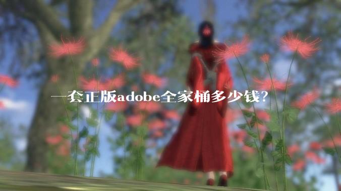 一套正版adobe全家桶多少钱？
